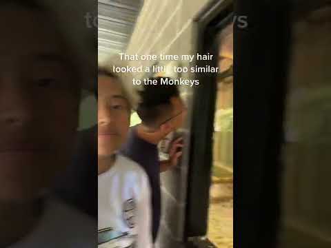 That one time hair looked a little too similar Created By bgirl ujin