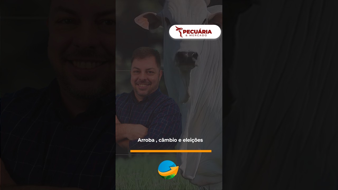 Arroba , câmbio e eleições