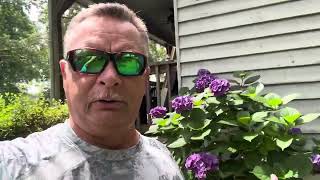 Shallow Bite - South River Baits