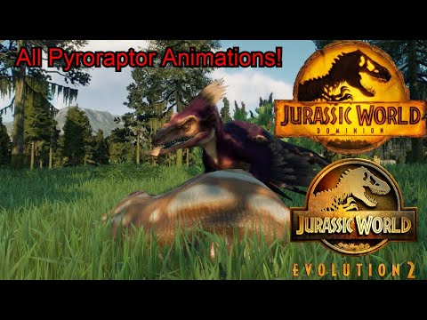Pyroraptor | All Animations | Jurassic World Evolution 2 | Dominion Biosyn DLC |