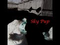 Sky Pup - Self Titled EP (Full Album, Audio, 2012)