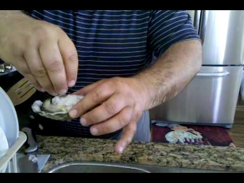 How to Eat Oysters