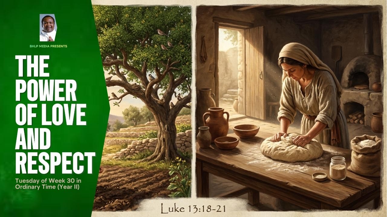 TODAY'S REFLECTION thumbnail