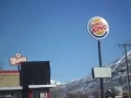 Seagulls Want It Their Way At Burger King Too