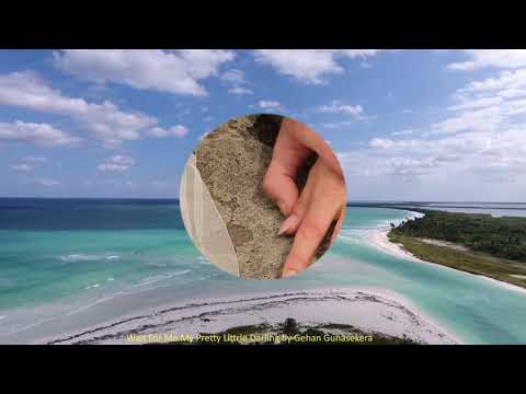 Wait For Me (My Pretty Little Darling)