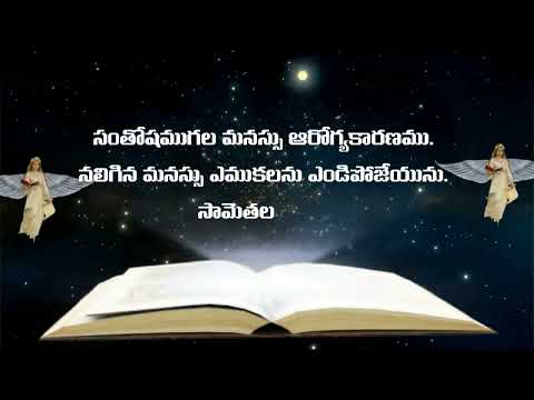 Promise Of The God 19-05-2025