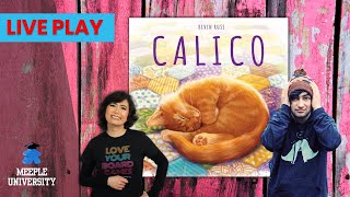 Meeple University - Calico video thumbnail