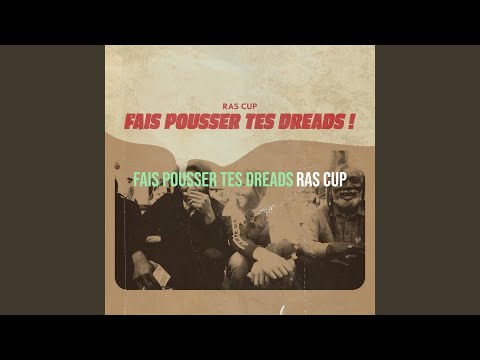 fais pousser tes dreads