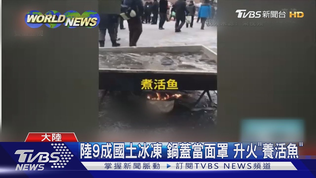 陸9成國土冰凍 鍋蓋當面罩升火「養活魚」
