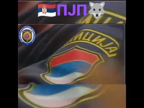 ПОСЕБНЕ ЈЕДИНИЦЕ ПОЛИЦИЈЕ - ПЈП