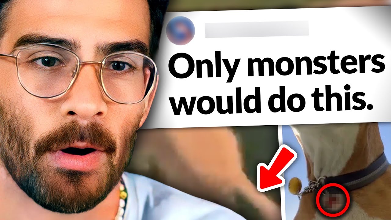 Influencer CAUGHT Abusing Dog on Camera? Viewers Spot Red Flags on Livestream