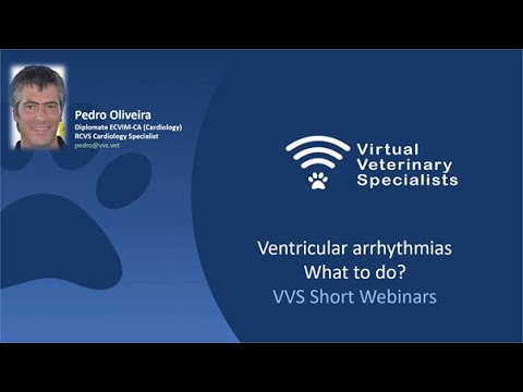 VVS Short Webinar: Ventricular arrhythmias