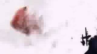 Le portefeuille de Manu Chao / Wampas