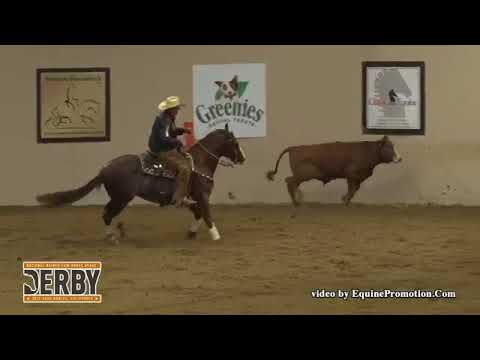 Brother Jackson - 2017 NRCHA CD Survivor Memorial Open Bridle