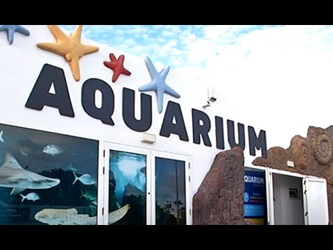 ¡Grandes descuentos para residentes en el renovado Aquarium de