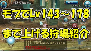 【トーラムオンライン】モブでのレベリング狩場Lv143～178まで