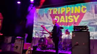 Tripping Daisy - "Pillar"( new version 1st live performance),  4/24/2026 , @PVConcertHall