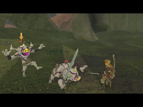 Silver Bokoblin Picks up The Master Sword - Zelda Breath of the Wild