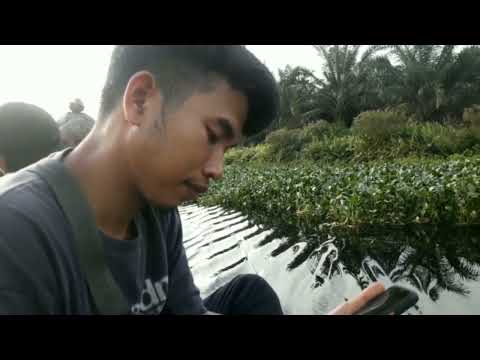 To Be Saved Here, Blok 22 in Memory.