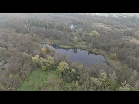 Beekbergerwoud Netherlands | Droneshot
