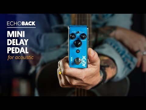 AFX Mini Pedal Demo | EchoBack