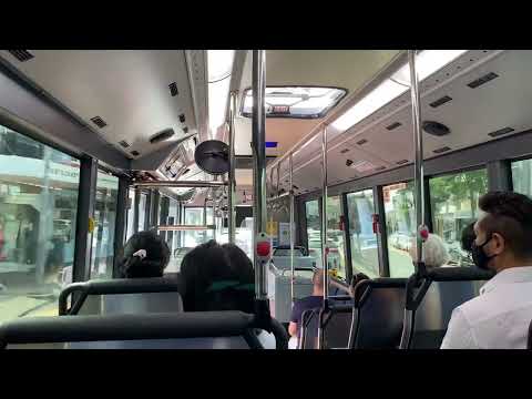 Transit Systems Sydney: m/o 8007 - Scania K310UB Gemilang Eco City Bus