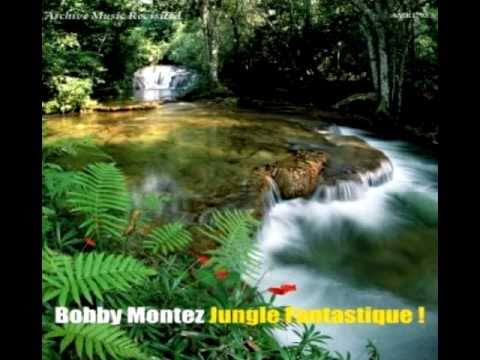 African fantasy - Bobby MOntez