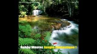 African fantasy - Bobby MOntez