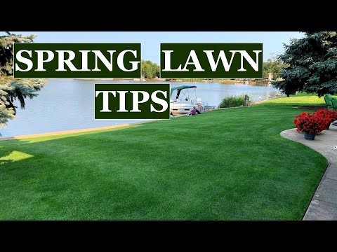 Don't make these 3 MISTAKES // Spring lawn care