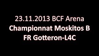 preview picture of video 'Moskito B, Fribourg Gotteron - L4C, 23 11 2013'