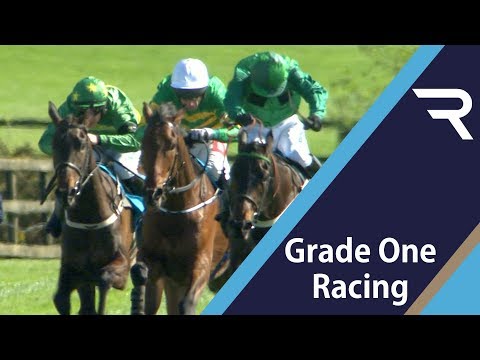 2019 AES Champion Four Year Old Hurdle | Punchestown - Racing TV