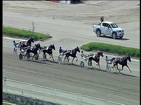 Trotto 08/06/2019 - 5ª corsa