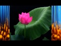 The Flower Duet Charlotte Church 