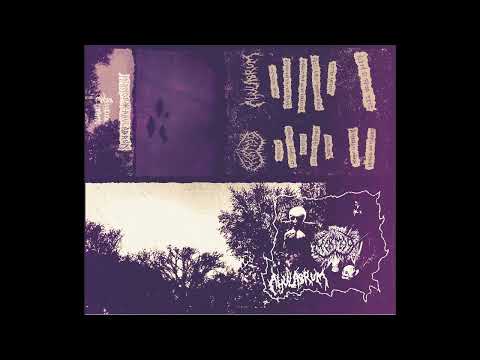 Mörmoo / Ahulabrum (France / US) - S/T (Split 2023)