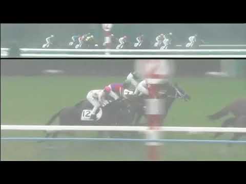 2017.10.22 2yo Newcomers (JPN) - Grail