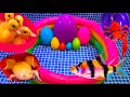 Colorful Surprise Eggs Duck Ducklings Lobster Snake Koi Fish Frog Butterfly Fish Goldfish