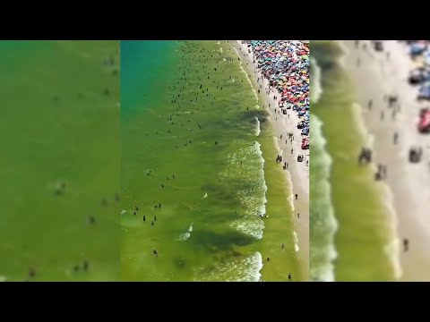 Água 'amarelada' em mar da Prainha, em Arraial do Cabo, chama atenção