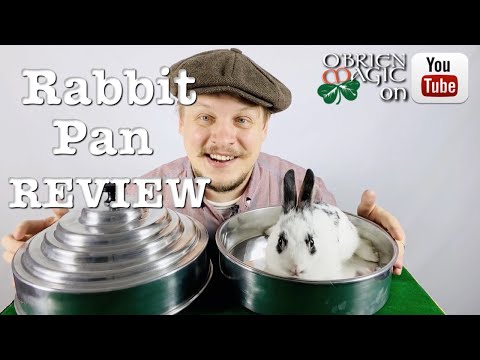 Magic Review | Bazar de Magia Rabbit Pan