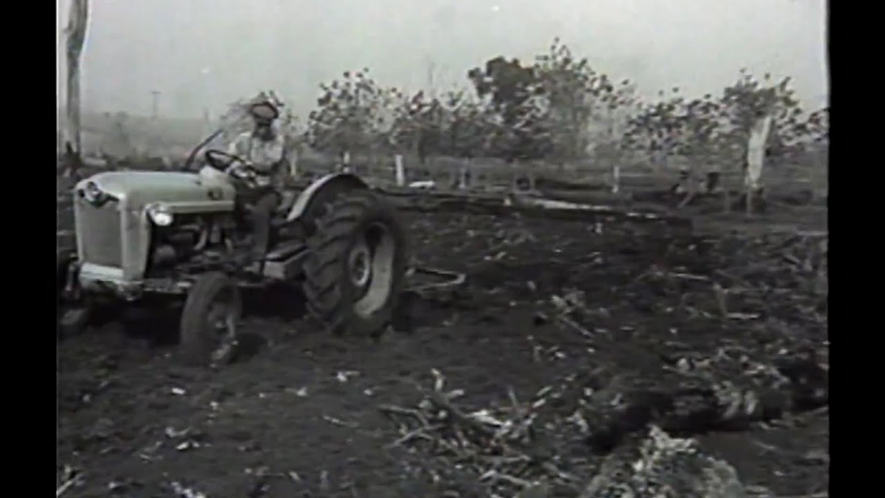 VOCÊ SABE QUEM FORAM OS COLONIZADORES DA CIDADE DE CASCAVEL?