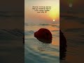 Thee Illai Pugai Illai Song Whatsapp Status Shortsfeed