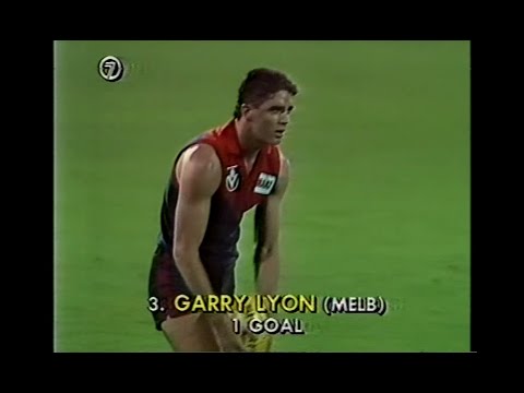 1989 VFL Panasonic Cup Grand Final - Melbourne v Geelong - VFL Park