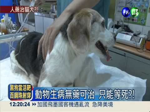 治療動物用人藥 抗藥性恐致浩劫
