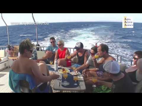 Golden Dolphin 3 Tauchsafari Rotes Meer / Aqua Active Agency