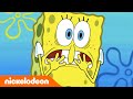 SpongeBob | SpongeBob & Patrick worden waaghalzen | Nickelodeon Nederlands