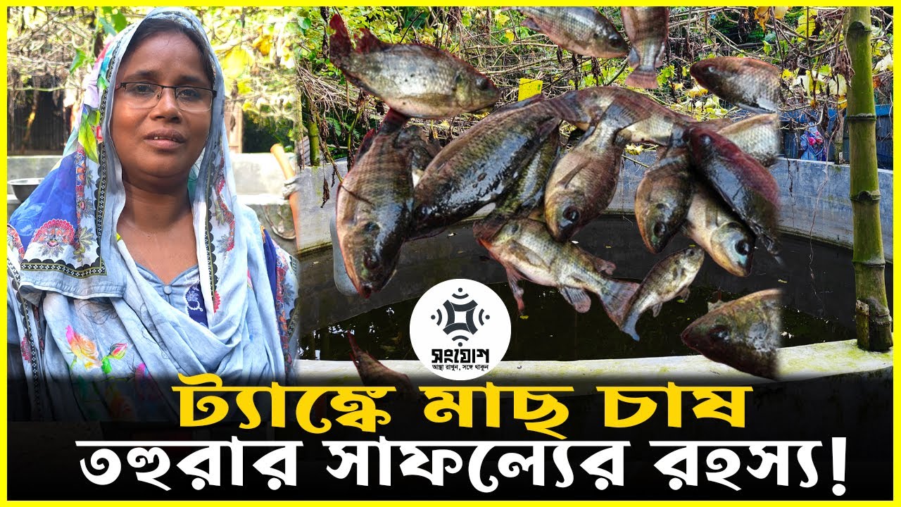 পুকুর নয়, ট্যাঙ্কেই মাছ চাষ!