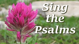 Sing Praise to Your Name (Psalm 9)