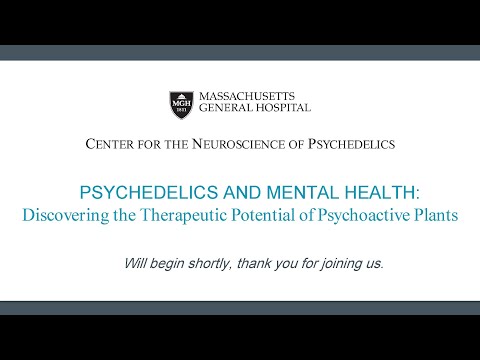 Psychedelics and Mental Health: Discovering the Therapeutic Potential of Psychoactive Plants