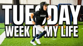 Week in my life: Tuesday