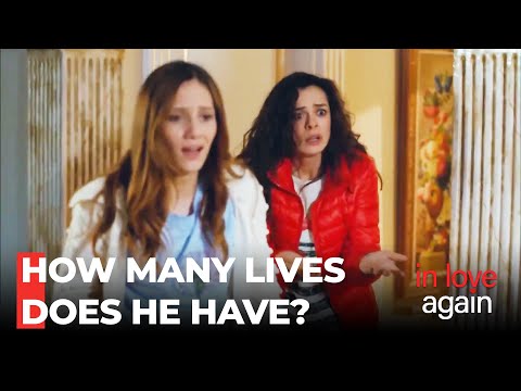 They Can't Get Enough Of Knocking Out Ertan - In Love Again