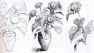 Ders #9 Bitki Çizimi - Karakalem